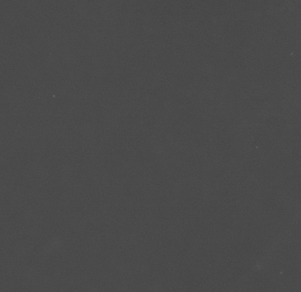 CCM_0.1percent_img
