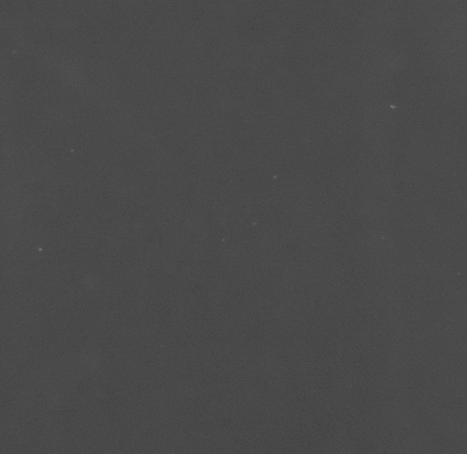 CCM_0.1percent_img