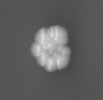 CCM_EtOH_img