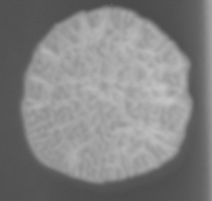 CCM_0.1percent_img