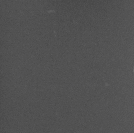 CCM_LD_img