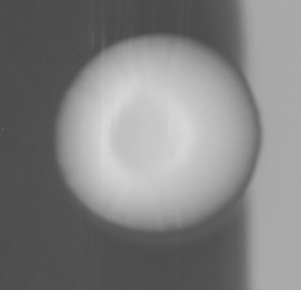 CCM_0.1percent_img