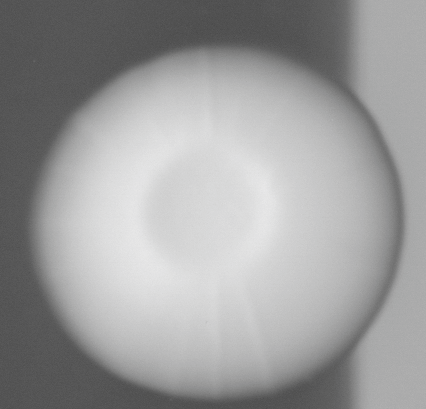CCM_0.1percent_img