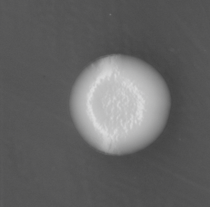 CCM_EtOH_img