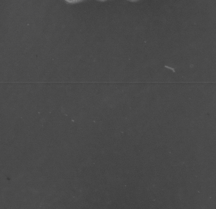CCM_LD_img