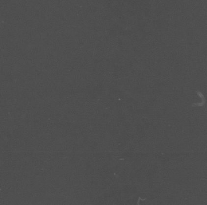 CCM_EtOH_img