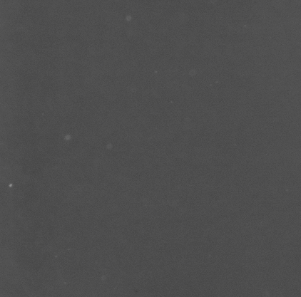 CCM_EtOH_img