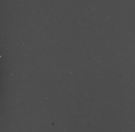 CCM_LD_img