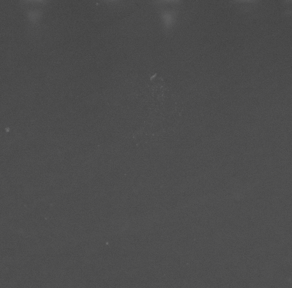 CCM_EtOH_img