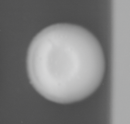 CCM_0.1percent_img