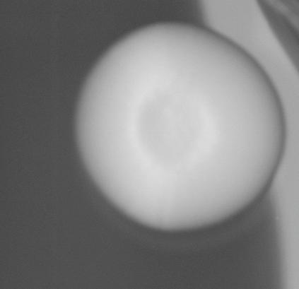 CCM_0.1percent_img