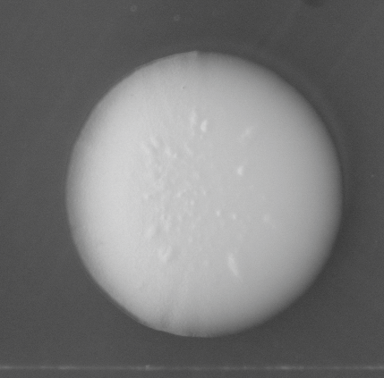 CCM_LD_img