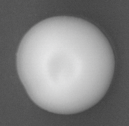 CCM_YPD_img