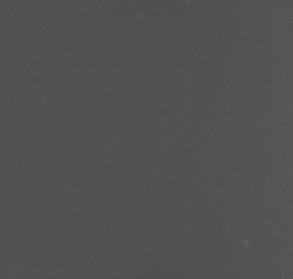 CCM_0.1percent_img