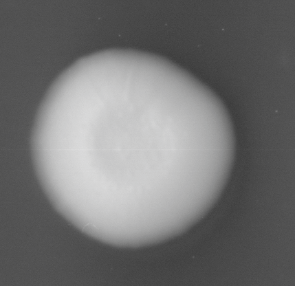 CCM_LD_img