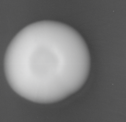 CCM_LD_img