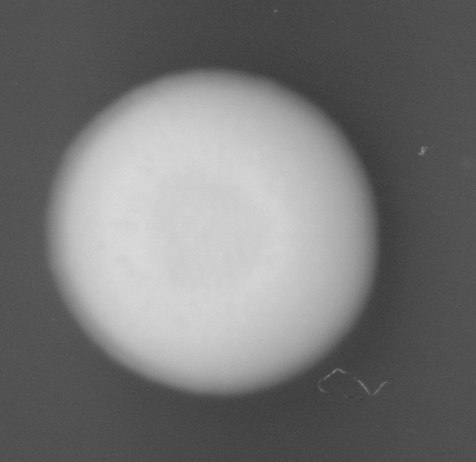 CCM_LD_img