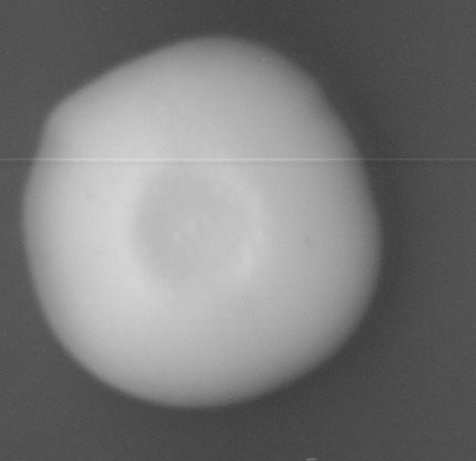 CCM_LD_img