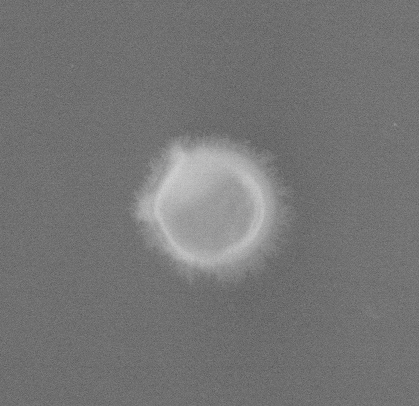 PSH_img