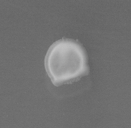 PSH_img